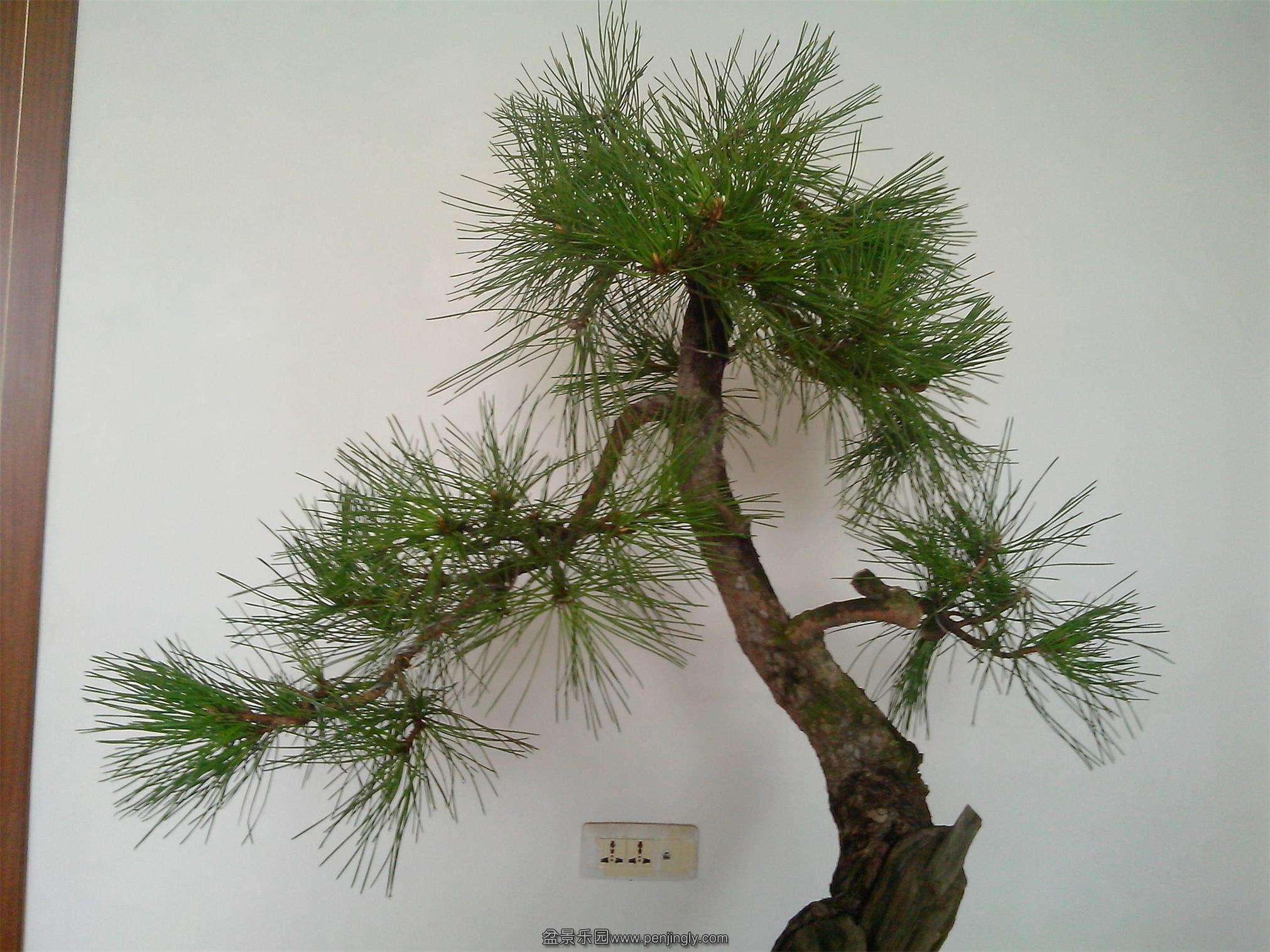 IMG20130916012.jpg