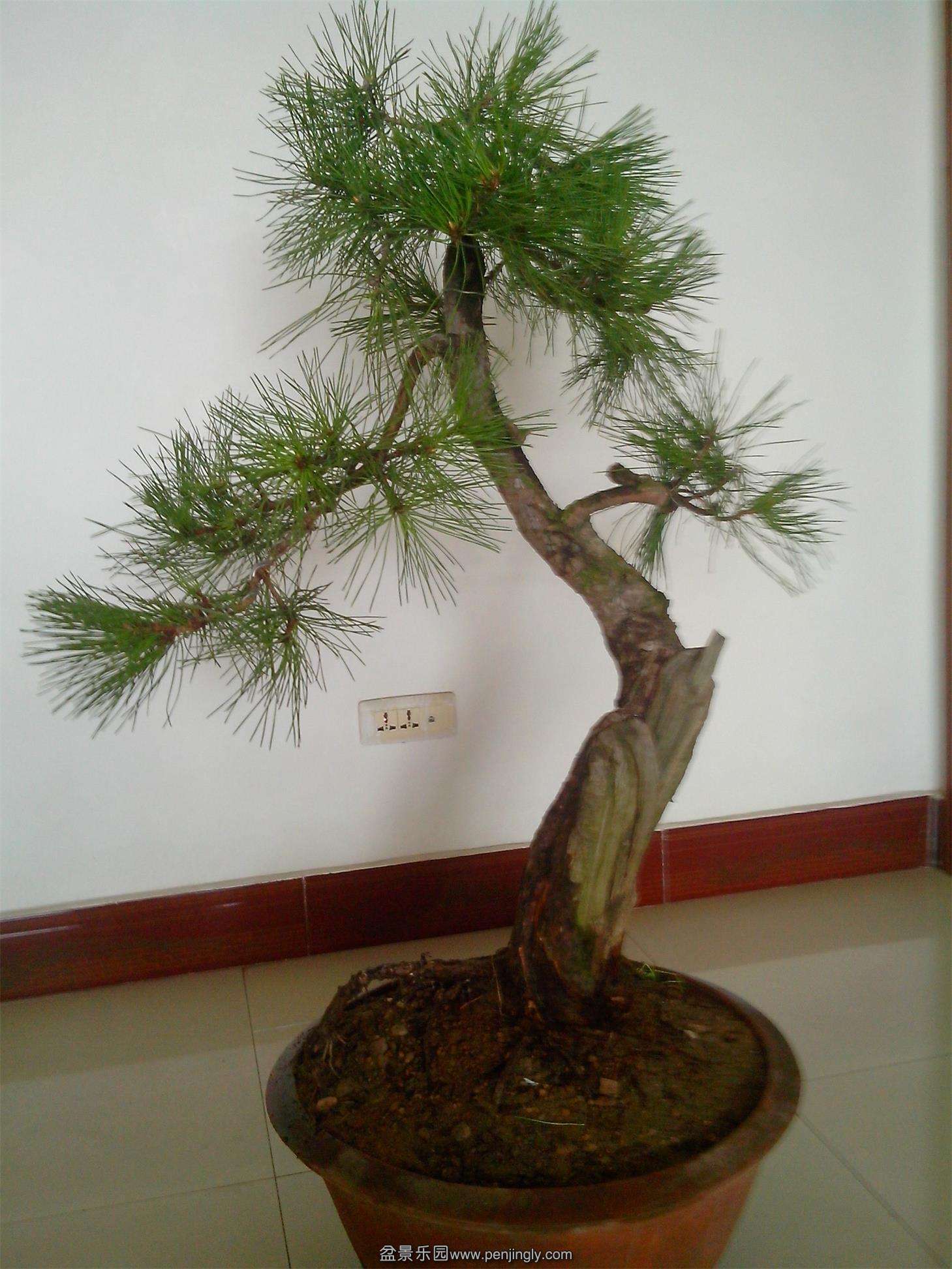 IMG20130916011.jpg