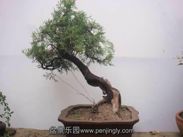 DSC08742.JPG