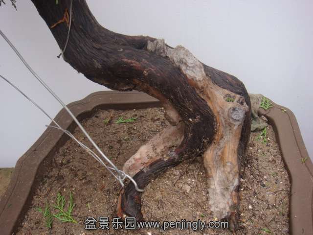DSC08743.JPG