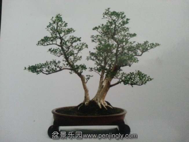 20130702_140514.jpg
