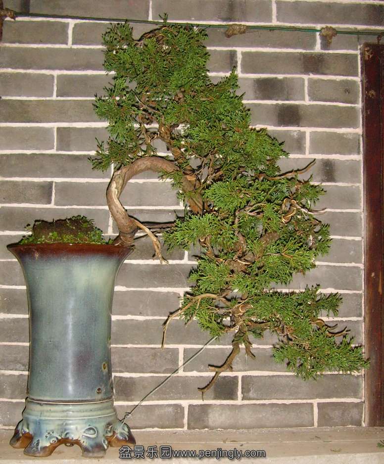 SNV30709.JPG