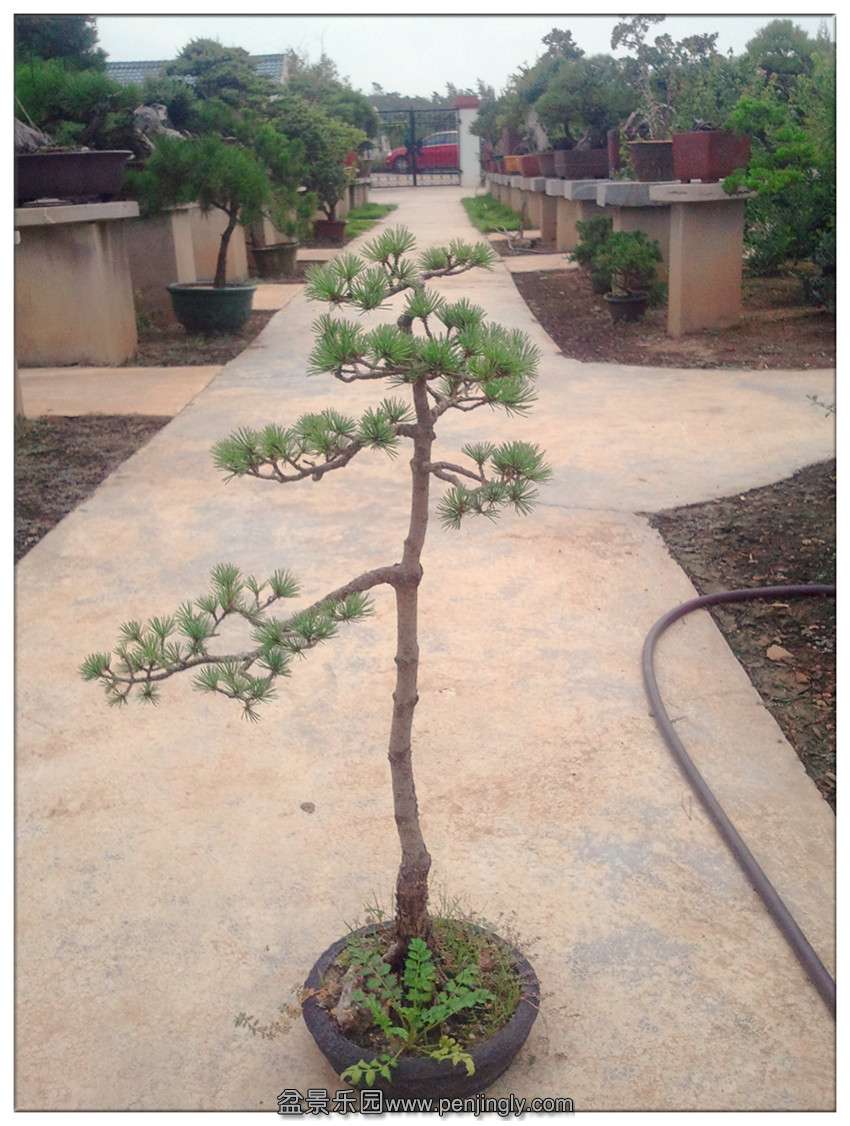 2013-08-23 10.37.49(1)_����.jpg