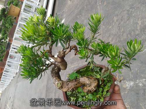 2013-06-29 14.44.53.jpg