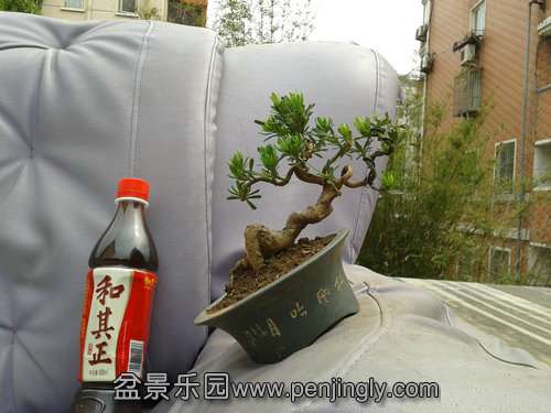 2013-05-29 13.52.37.jpg