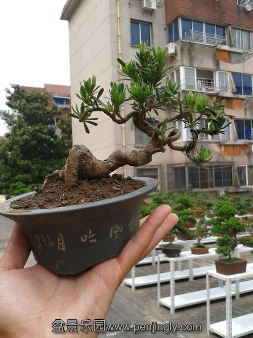 2013-05-29 13.50.00.jpg