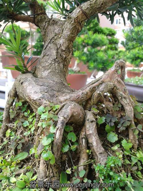 2013-09-17 14.29.51.jpg