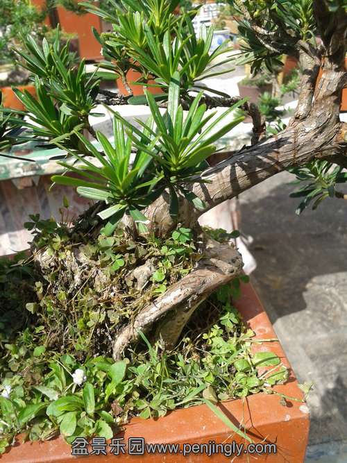 2013-09-17 13.52.15.jpg