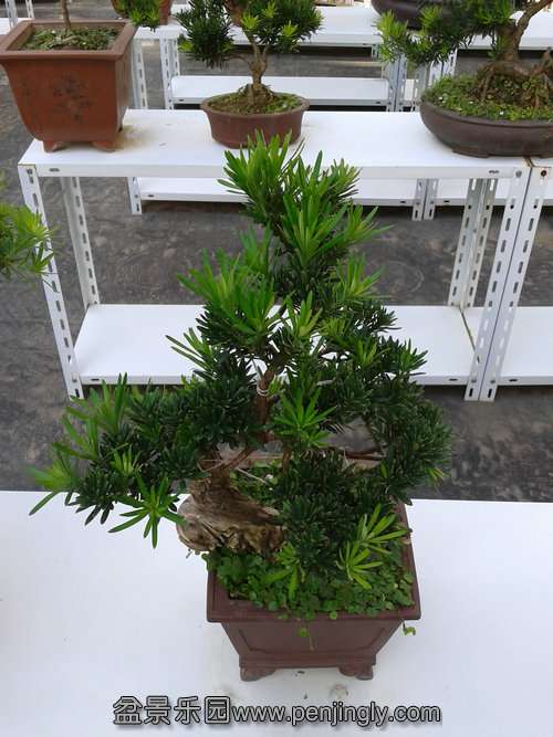 2013-09-17 14.33.31.jpg