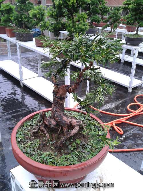 2013-09-11 14.52.37.jpg