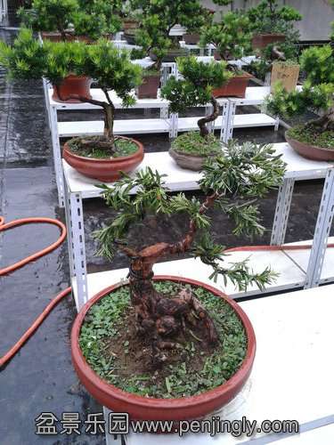 2013-09-11 14.52.09.jpg