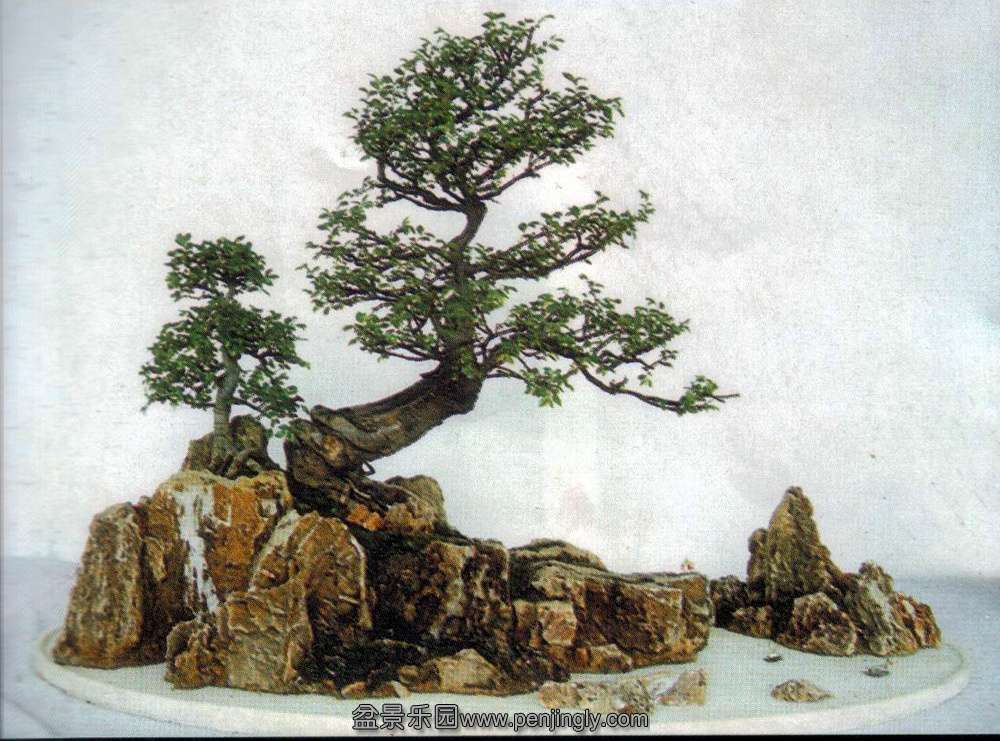 ʯչ-ĺ-Тʯ.jpg