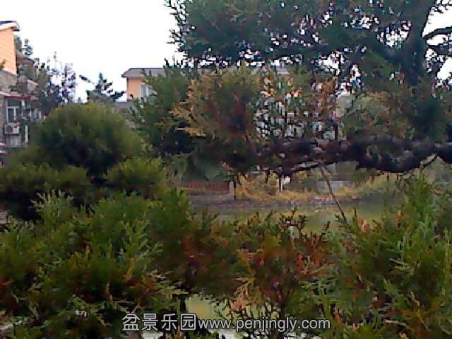 130916150840.jpg
