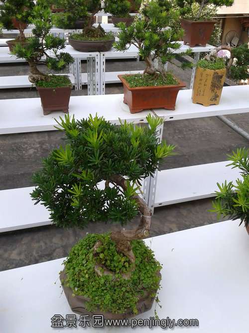 2013-09-17 14.41.11.jpg