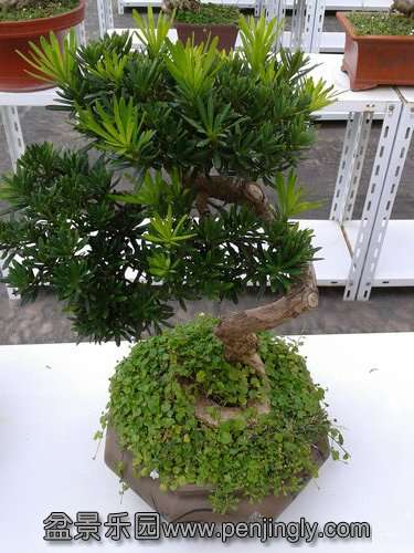 2013-09-17 14.39.54.jpg