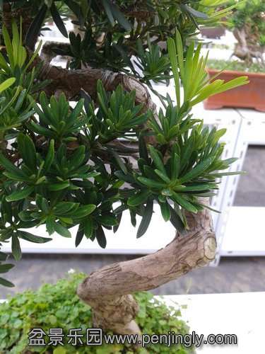 2013-09-17 14.40.06.jpg