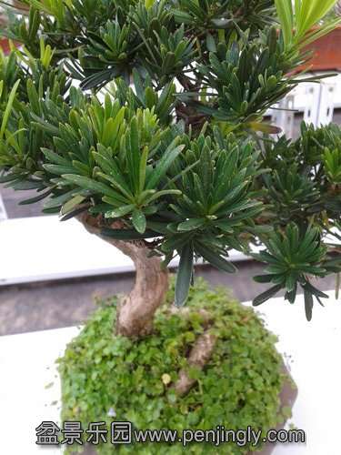 2013-09-17 14.40.33.jpg