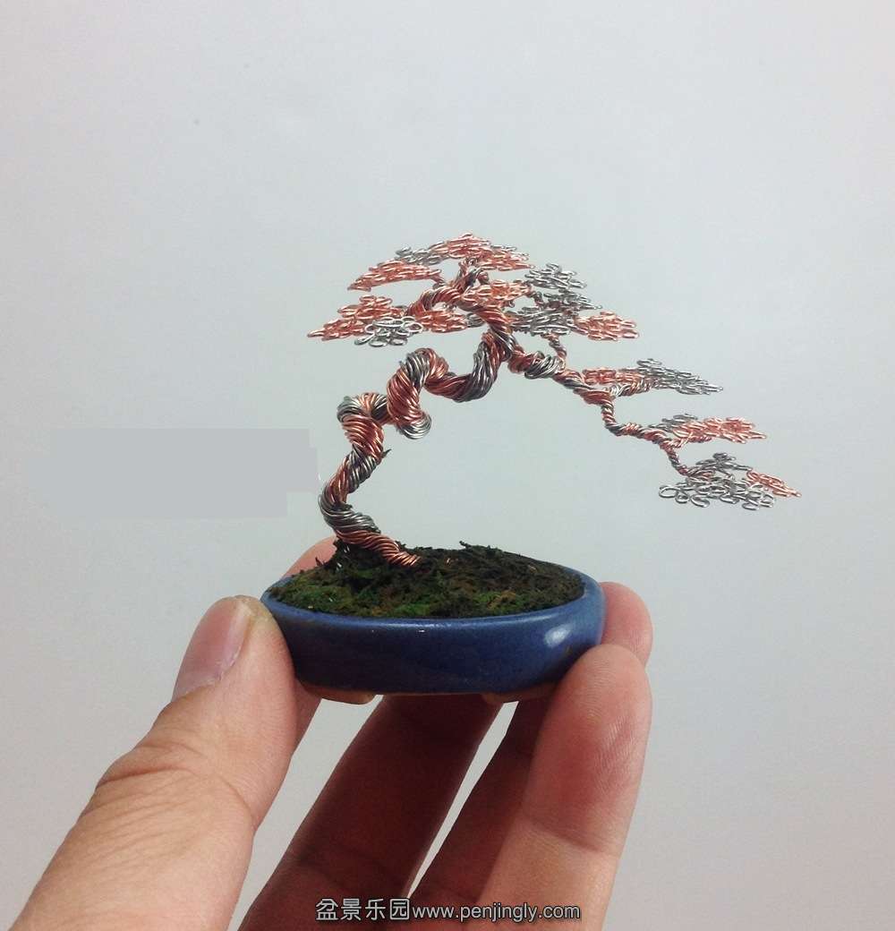 literati two-tone_conew1.jpg