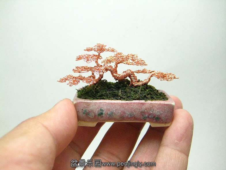 mame_sized_raft_style_wire_bonsai_sculpture_by_nanobonsai-d5sg3ls.jpg