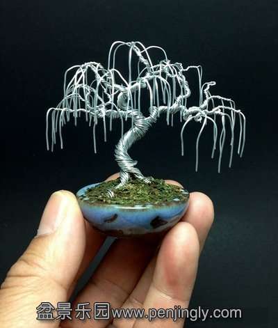 willow_wire_bonsai_tree_in_silver_by_ken_to_by_kentoart-d67twdy_conew1.jpg