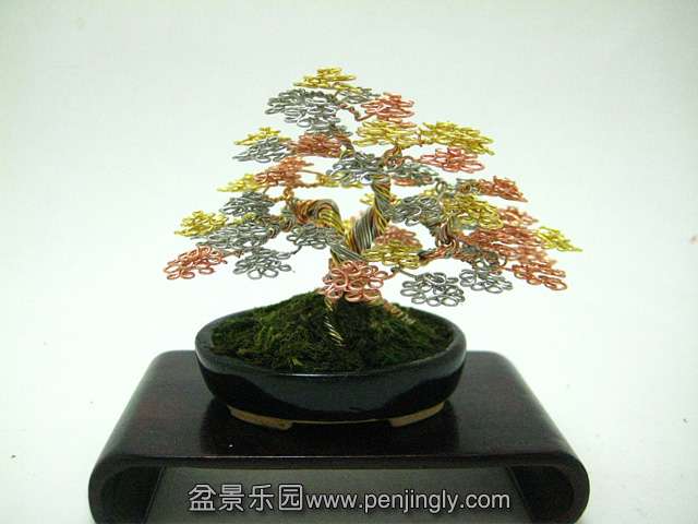 bonsai-4.jpg