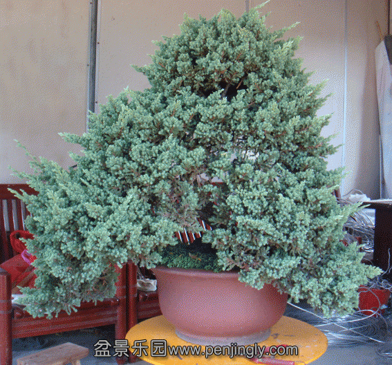 DSC07304.gif