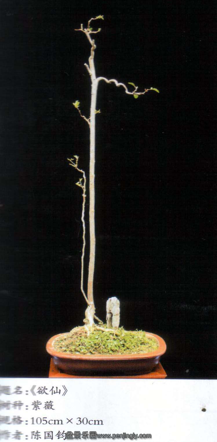 ¹-ޱ.jpg