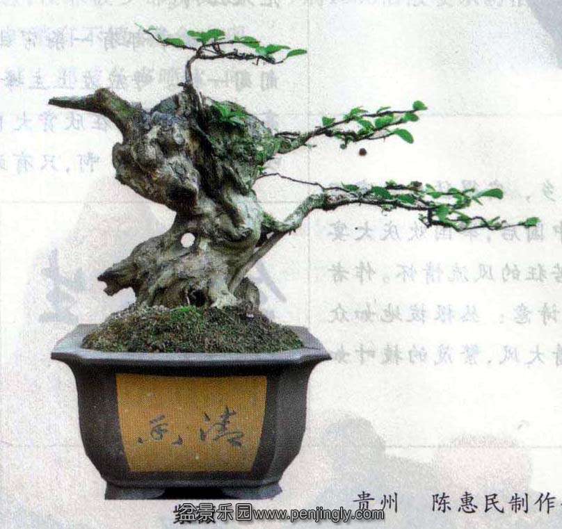 »-ޱ.jpg