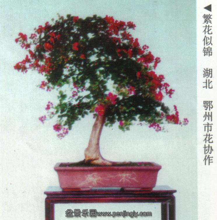 ݻЭ-ޱ.jpg