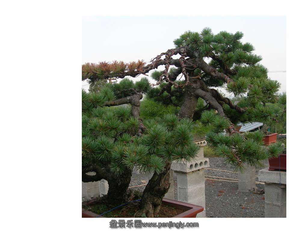 DSCN3080.jpg