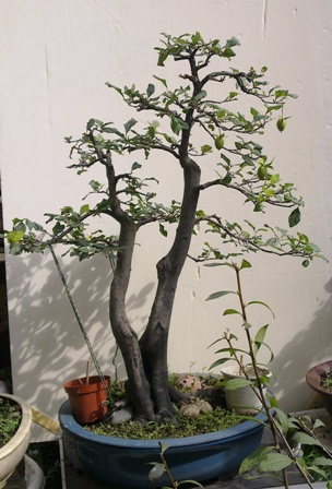 201309201109.jpg