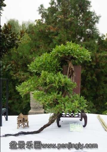 QQͼƬ20130920094315.jpg