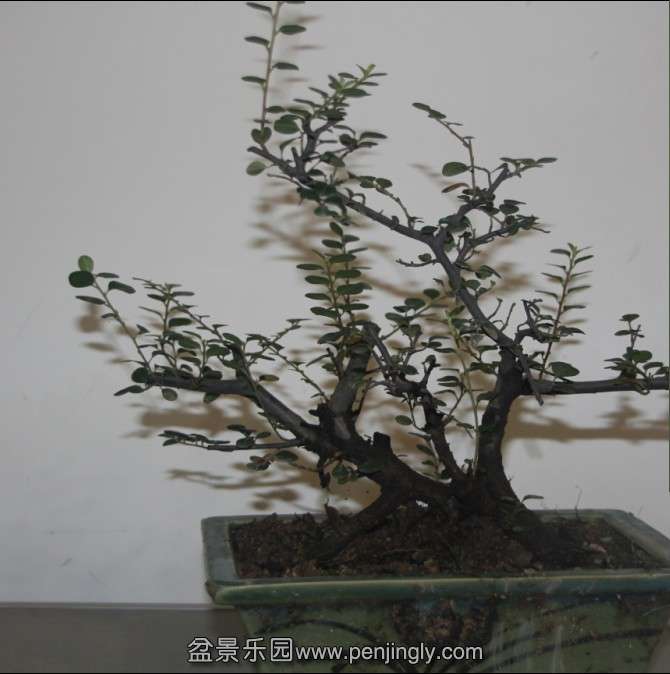 H3}F`OY7553`@$CRN})II7M.jpg