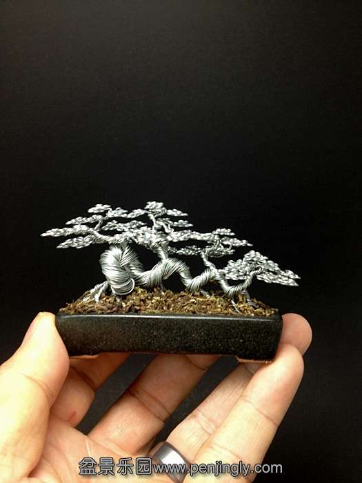 a_raft_wire_bonsai_bonsai_tree_by_ken_to_by_kentoart-d6bdqx7.jpg