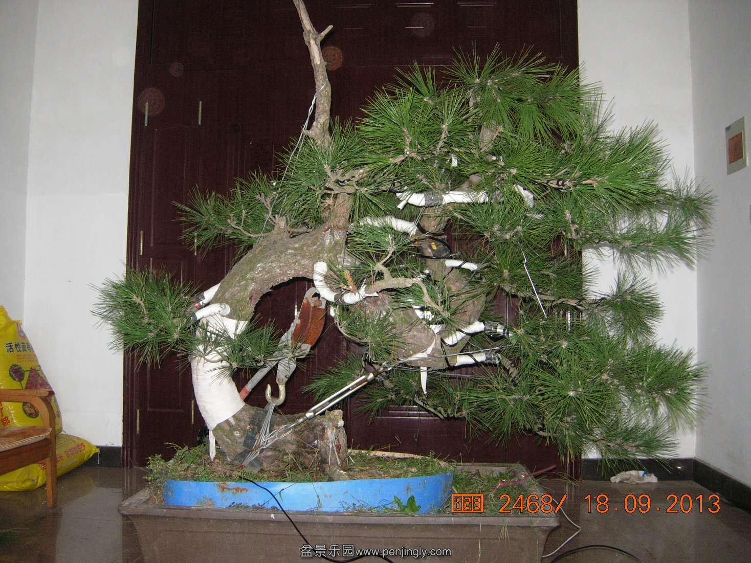 DSCN7008.JPG