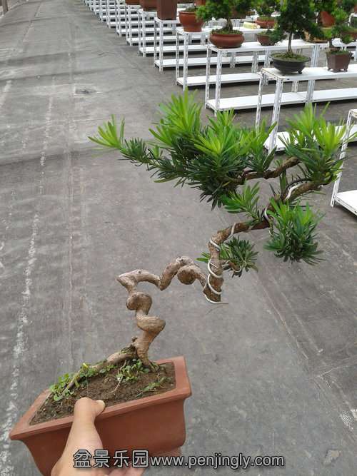 2013-09-21 12.37.27.jpg