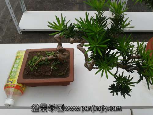 2013-09-21 12.38.06.jpg