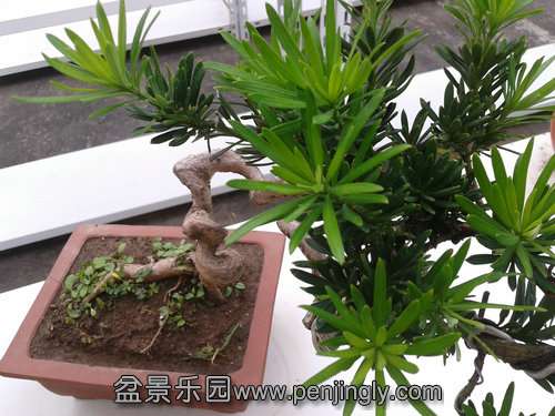 2013-09-21 12.39.44.jpg