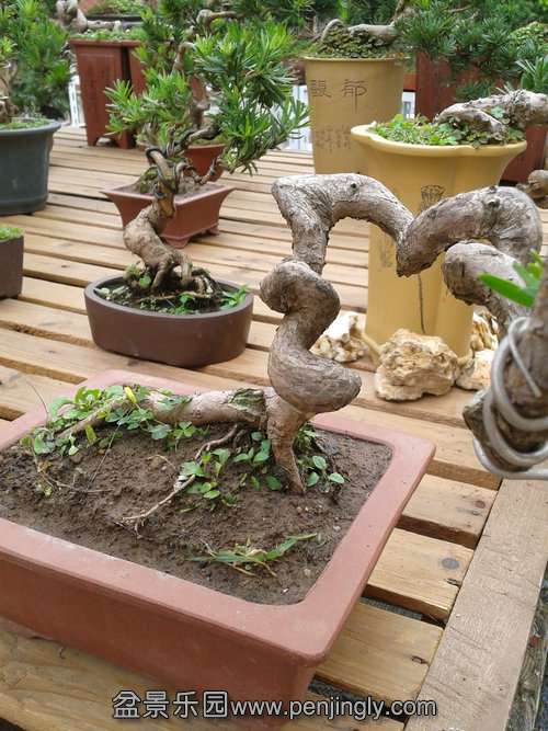 2013-09-21 12.43.19.jpg