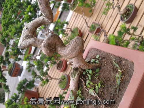 2013-09-21 12.36.45.jpg