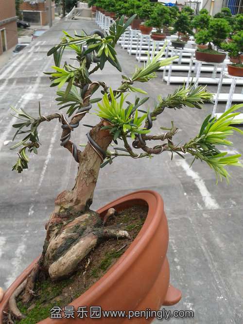 2013-09-21 12.31.58.jpg