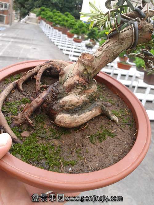 2013-09-21 12.30.48.jpg