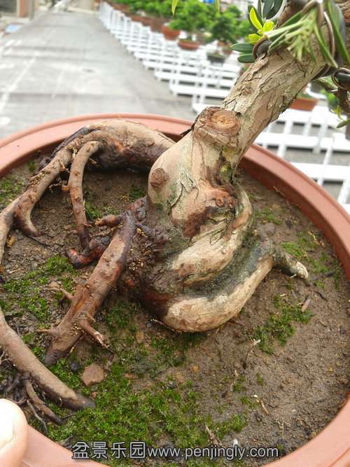 2013-09-21 12.30.57.jpg