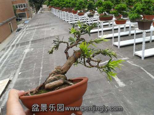 2013-09-21 12.31.12.jpg