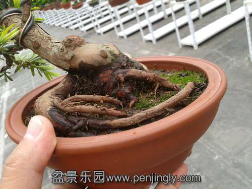 2013-09-21 12.31.24.jpg