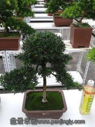 2013-09-21 12.19.06.jpg