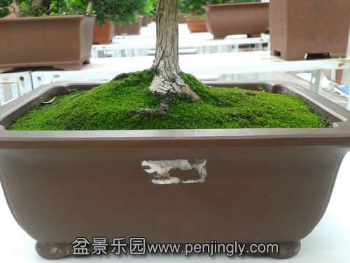 2013-09-21 12.19.17.jpg