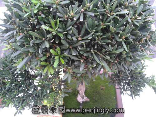 2013-09-21 12.20.08.jpg