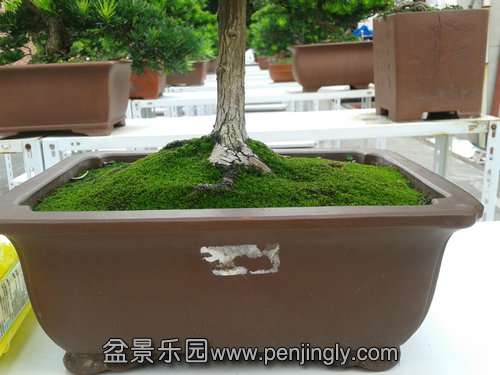 2013-09-21 12.20.57.jpg