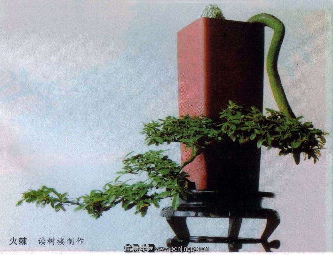 ¥-.jpg
